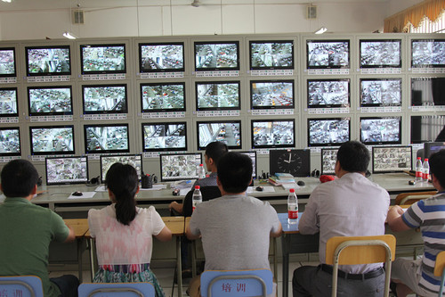 IMG_3902_副本 IMG_3902_副本