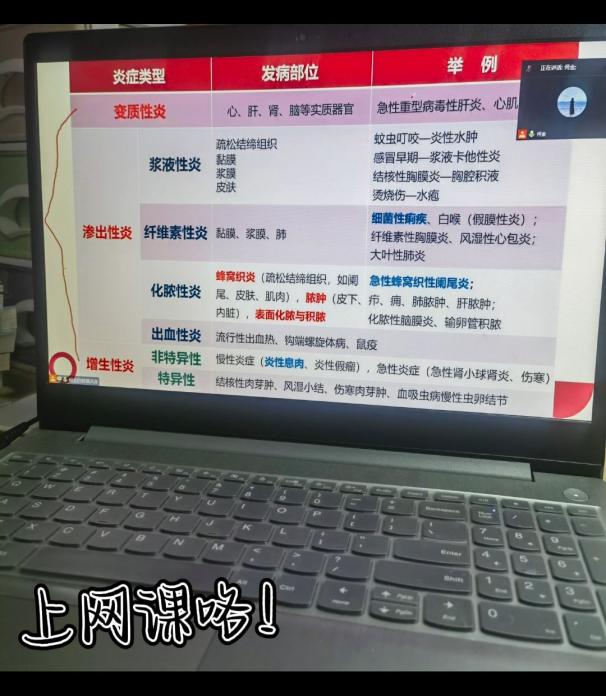 d93555b8875547b19e524b9d5882073b.Jpeg