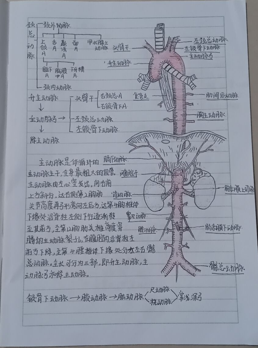 926ac51aa911448fbac1b8718f9101b6.Png