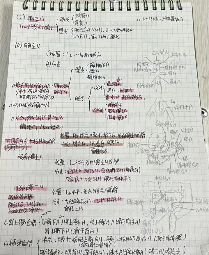 028a817a72f44ea8a5ff80e6c0adfa2d.Jpeg
