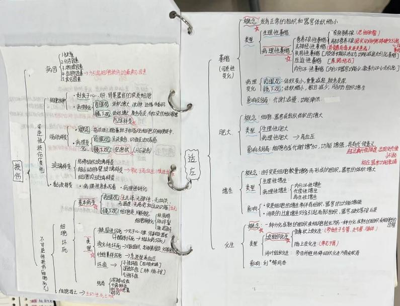 9312a2a3433f40938268a4636e30c8c3.Jpeg