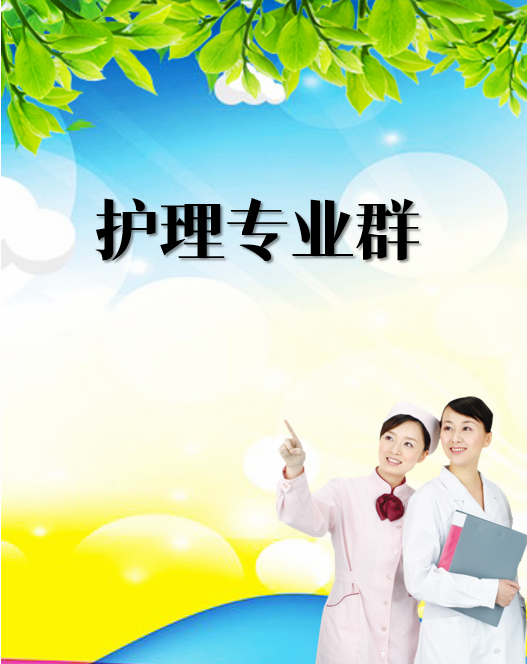 护理专业群 护理专业群