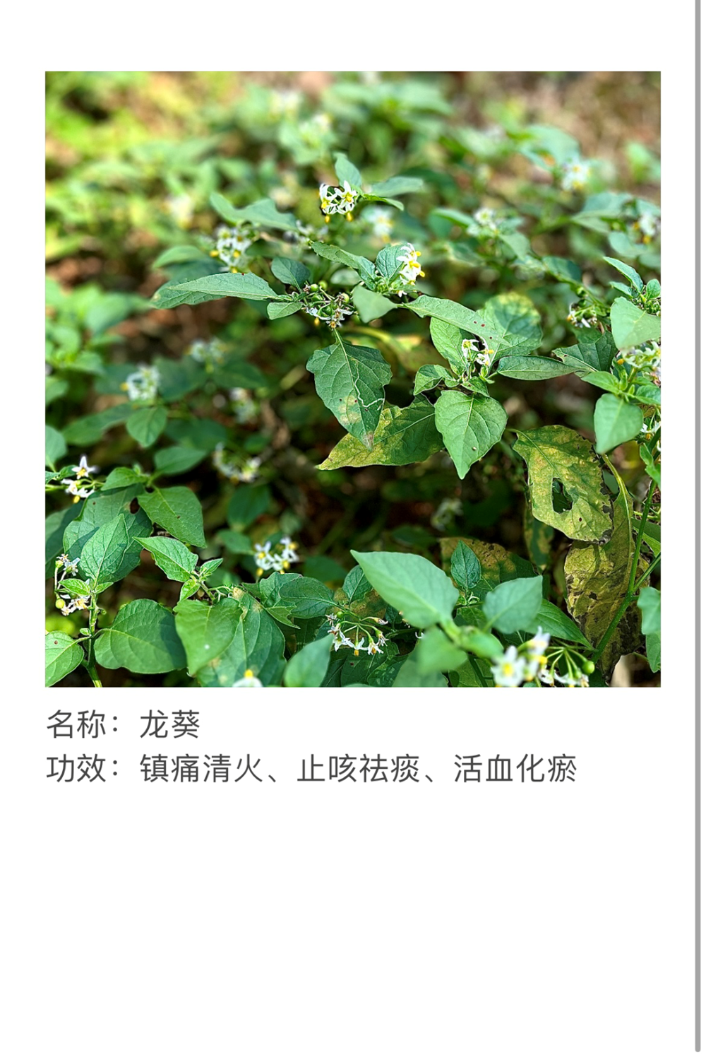 774f4ef1453542ecb78a41931067e41f.Png