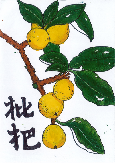 02812f1a8e7d4c27ad856a6488dd96ea.Png