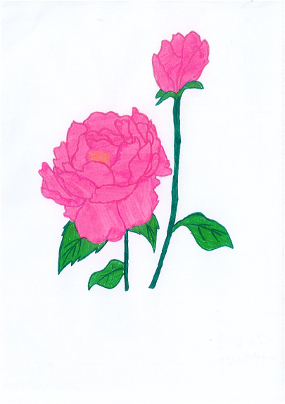 3ececbf791f742df8f38b3d4447be5a3.Png