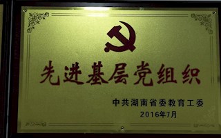 先进基层党组织（2016年）
