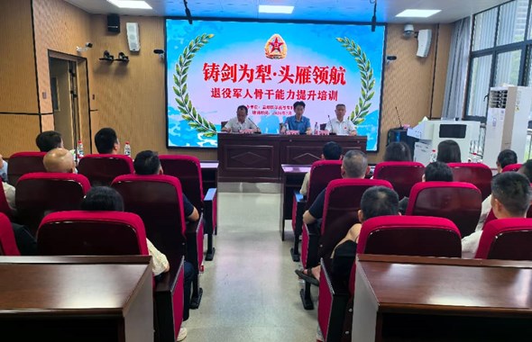 铸剑为犁 头雁领航